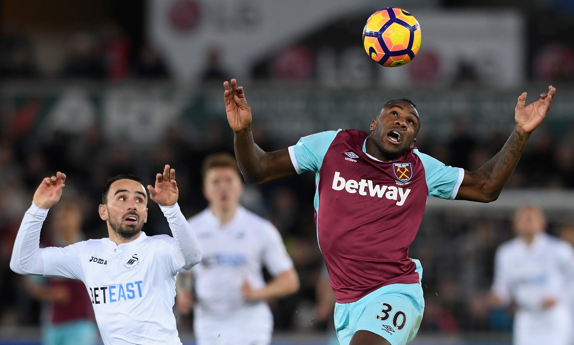 向世人展示 向世人展示